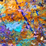 BPL's July Artist: Suzanne Ray