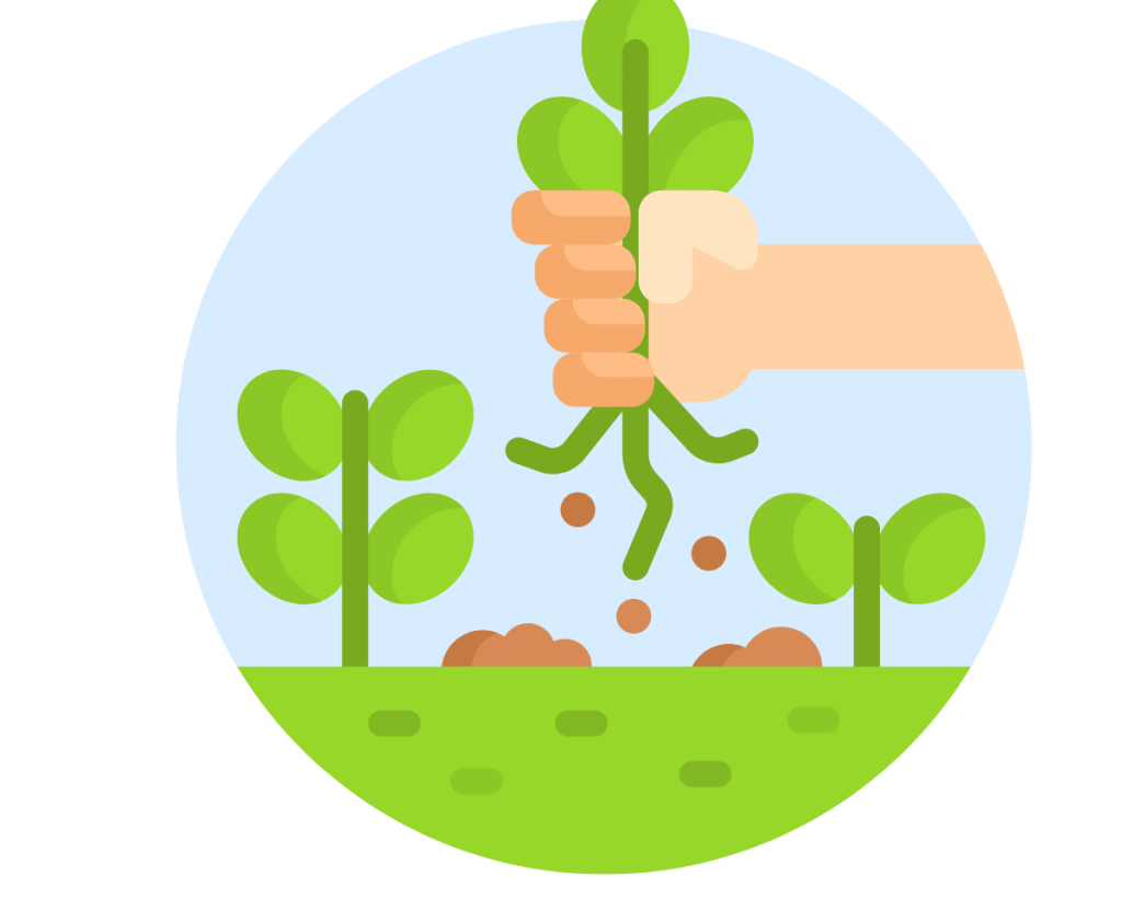 Volunteer Gardeners Needed.